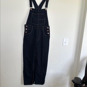 We The Free Black Denim Overalls with Pink Button Accents